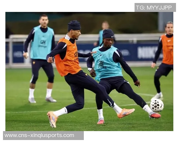 法国足球比赛精彩回顾与未来展望球迷热情与球队表现的完美结合 法国足球比赛精彩回顾与未来展望球迷热情与球队表现的完美结合